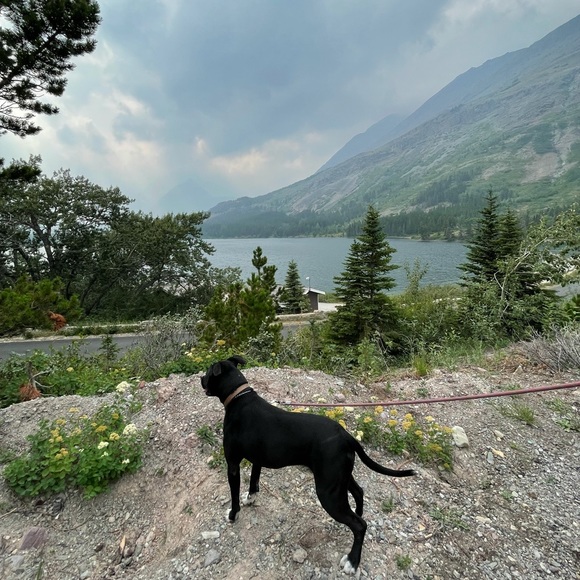 Meet your Posher, Helen Brianna - Picture 13 of 17